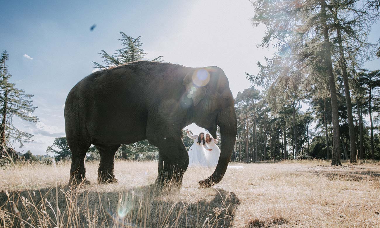The Safari Lodge at Woburn Safari Park