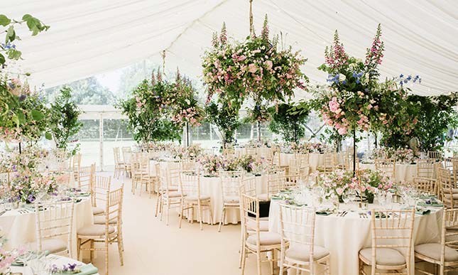 Planned For Perfection