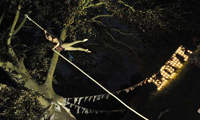 WonkyDog Productions