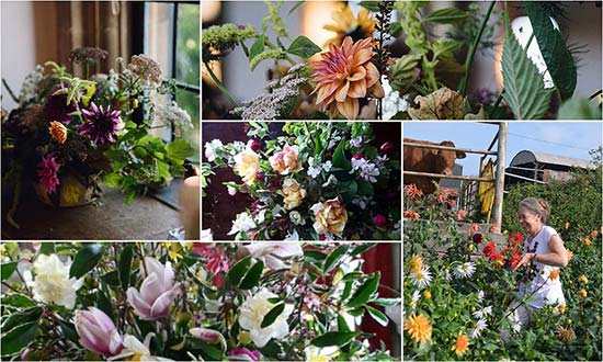 Flowers From The Plot