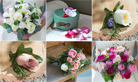 The Real Flower Company