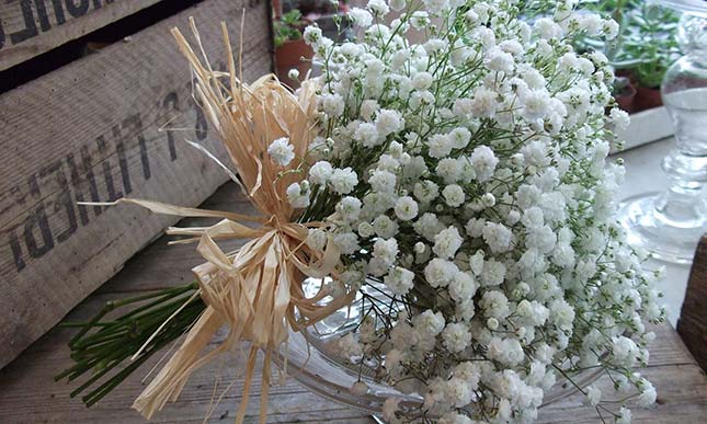 Stem by Stem Flowers