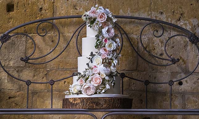 The Pretty Cake Company