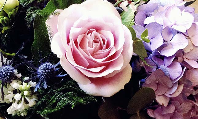 Battle House of Flowers