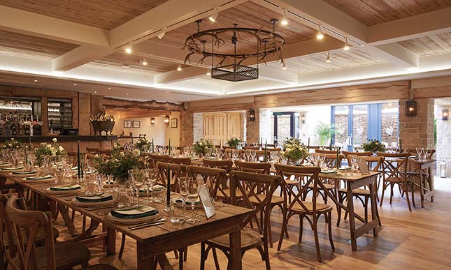 Wild Thyme and Honey