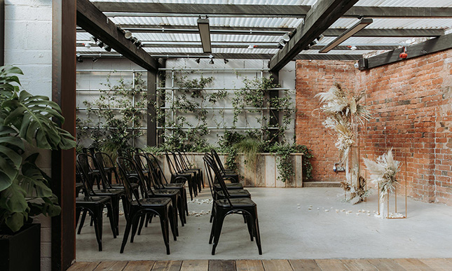 The Shack Revolution