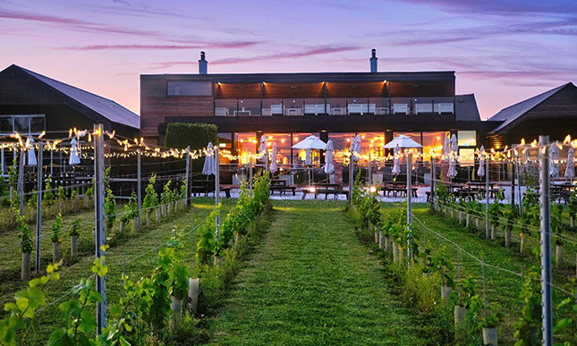 Llanerch Vineyard Hotel