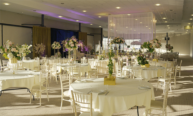 Arena MK & Doubletree By Hilton Milton Keynes
